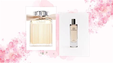 dupe perfume chloe|zara rose gourmand perfume dupe.